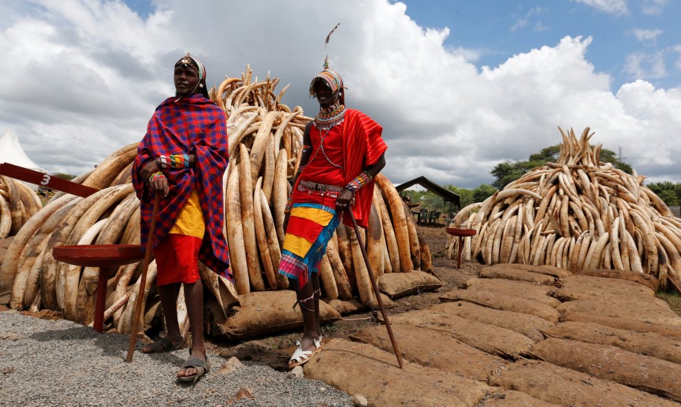 Miembros de la traditional tribu Maasai posan cerca de unos 105 colmillos de elefante, en el Parque Nacional de  Nairobi, Kenia. REUTERS/Thomas Mukoya