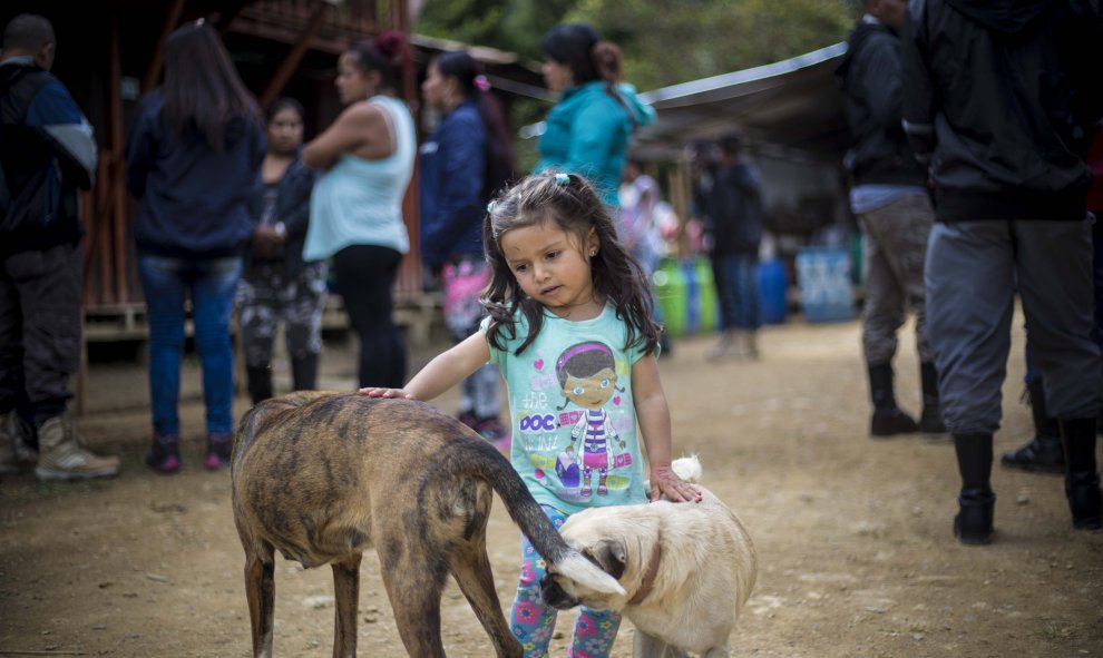 Una hija de guerrilleros de las FARC juega con unos perros en el campamento de transición de La Elvira. Los desmobilizados deben permanecer en estas zonas durante 180 días.- JAIRO VARGAS