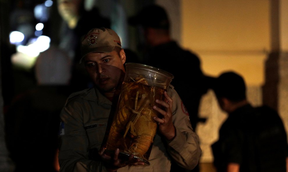 Un bombero rescata una de las piezas de la amplia colección del Museo Nacional de Brasil.-REUTERS/Ricardo Moraes