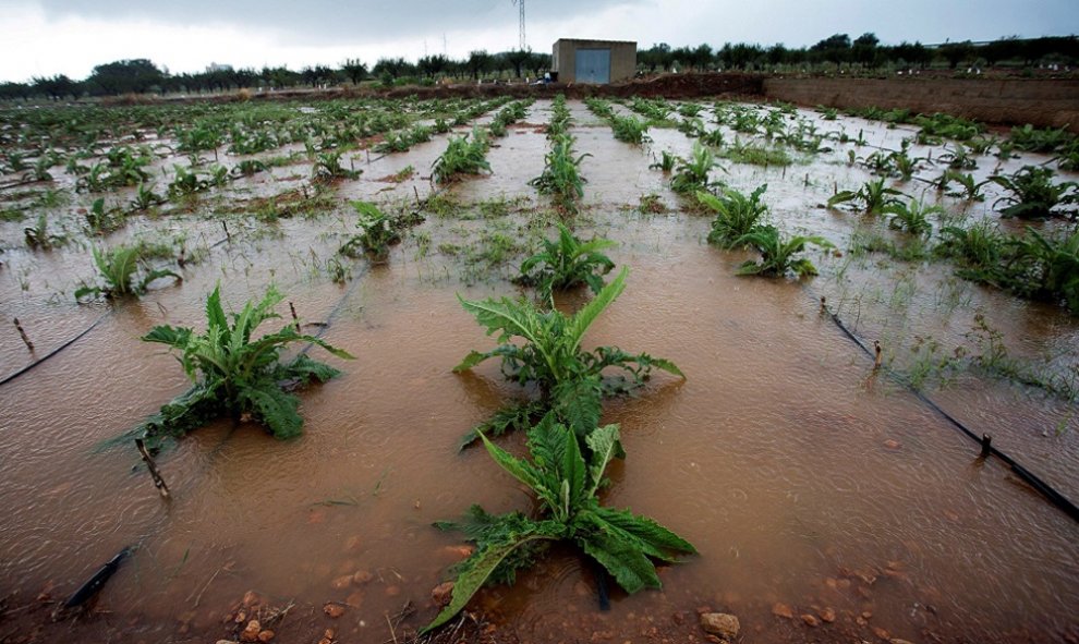 Una plantación inundada en Castellón./EFE