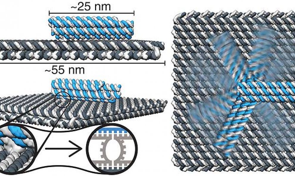 Nanorobot autoensamblado