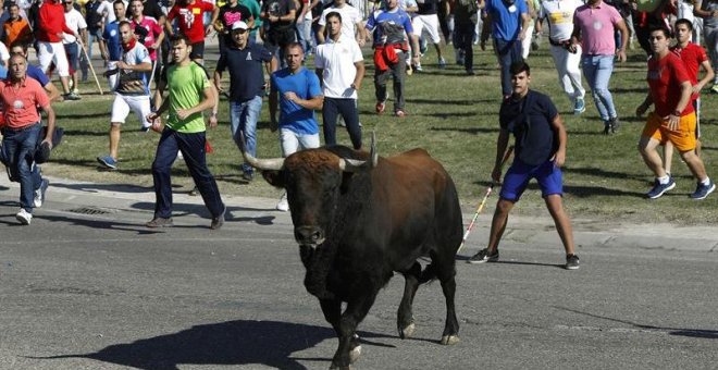 Toro de la Vega 2017 / EUROPA PRESS