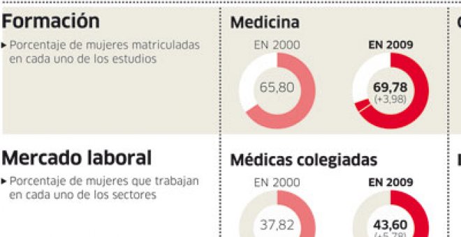 Presencia femenina en diversos sectores.