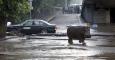 Un hipopótamo camina por las calles enfangadas de Tblisi. El animal se escapó del zoo por las fuetes riadas que golpearon la capital de Georgia. REUTERS/Beso Gulashvili