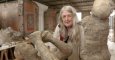 mary beard