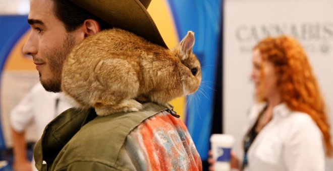 Un asistente permanece con un conejo en el hombro durante el Congreso Mundial del Cannabis en Nueva York, Estados Unidos. REUTERS / Lucas Jackson