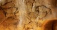 Pinturas de hace 17.000 años del segundo bisonte europeo en la cueva francesa de Niaux.-D. VIET/CRT MIDI PYRENEES