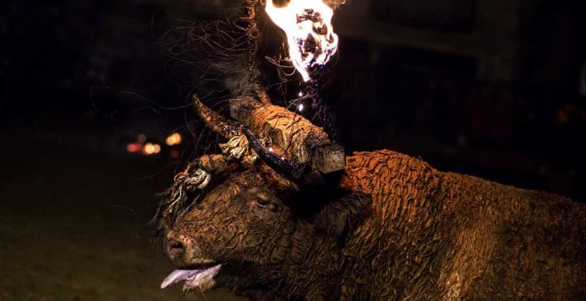 Toro de Jubilo de Medinacelli