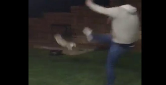 Captura del vídeo en el que se ve a un hombre propinando una patada a una gato.