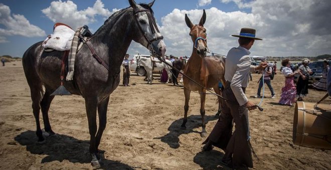 Imagen de la romería del Rocío de este año / EFE