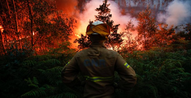 Un bombero, durante el incendio que arrasó el centro de Portugal a mediados de junio y que ha causado más de 60 víctimas. REUTERS