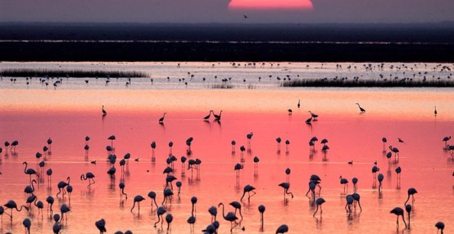 Un atardecer en Doñana.