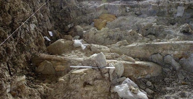 El equipo que trabaja en los yacimientos de Barranco León, Venta Micena y Fuente Nueva 3 de Orce (Granada) para conocer cómo vivían en la zona hace 1,5 millones de años ha hallado restos óseos de numerosas especie. | VIOLETA HOSTAS (EFE)