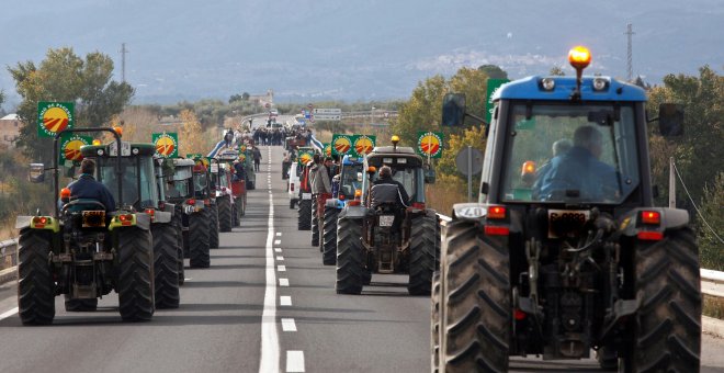 Las pérdidas que el veto ruso está causando en las explotaciones familiares de fruta de hueso han hecho que los agricultores se movilicen para reclamar soluciones.