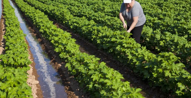 Una mujer trabajando en el campo / Instituto Andaluz de la Mujer