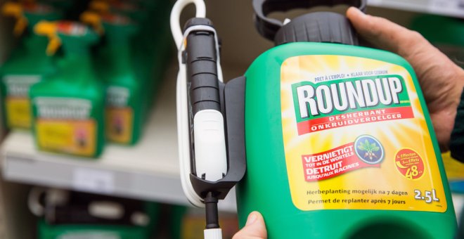 El glifosato, que comunmente se comercializa bajo la marca Roundup. EFE