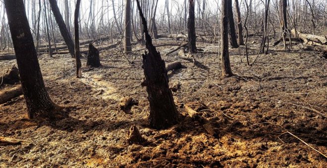 Zona calcinada en Galicia tras la oleada de incendios del pasado octubre. /EFE