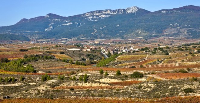 Los trazados del TAV que plantea Fomento acabarían con los viñedos de la Rioja Alavesa. BLOG RIOJA ALAVESA