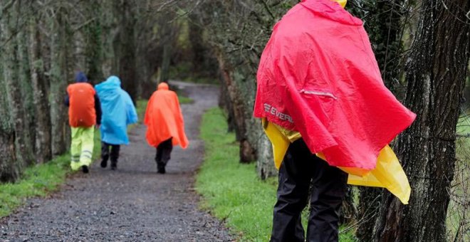 El viento tendrá bajo aviso a 49 provincias de todo el país. | ELISEO TRIGO (EFE)