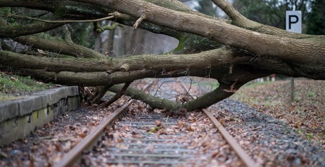 Un árbol caído por una tormenta. EUROPA PRESS