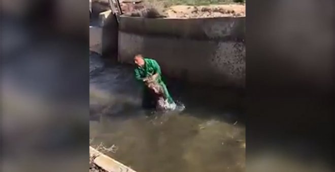 Un fragmento del vídeo en el que un hombre maltrata a un jabalí.