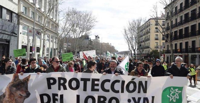 Manifestación en Madrid convocada por las organizaciones Lobo Marley, Equo, Ecologistas en Acción, WWF y la Alianza Europea para la Conservación del Lobo, con el apoyo de 200 entidades ecologistas y animalistas de España. | ZIPI (EFE)