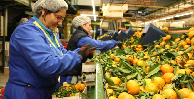 Envasadoras trabajando en la fábrica de Tocina (Sevilla).