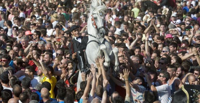 Jaleo menorquín en la que se muestra al caballo sobre las patas traseras, y los movimientos menorquines, rotando en esa posición elevada. EFE