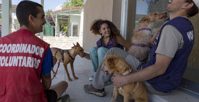 Centro Integral de Acogida de Animales (CIAAM) en Colmenar Viejo. COMUNIDAD DE MADRID