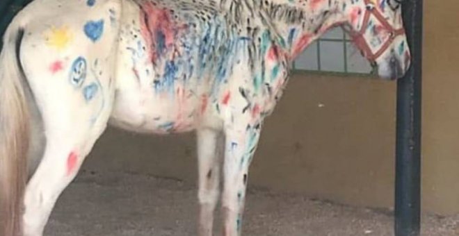 Caballo pintado por niños durante un campamento en una escuela hípica de Brasil. / ANA PAULA VASCONCELOS