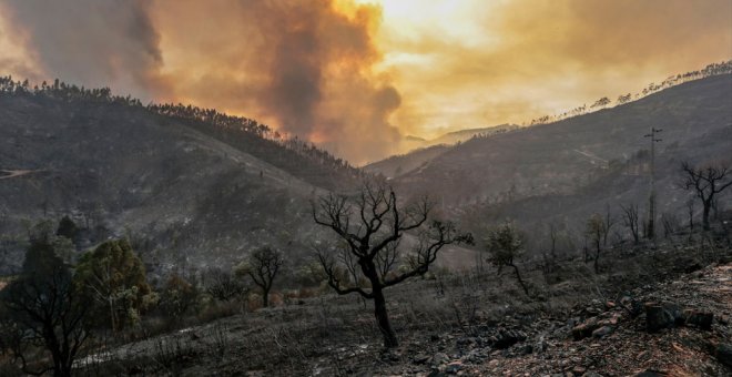 El incendio en la comarca de Monchique. EFE