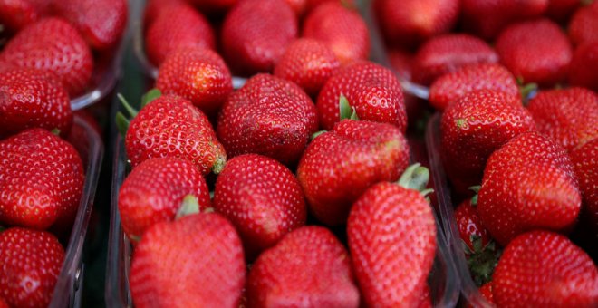 Envases de fresas. REUTERS