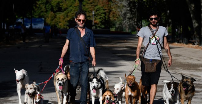 Dos hombres pasean perros en el parque de El Retiro de Madrid. AFP