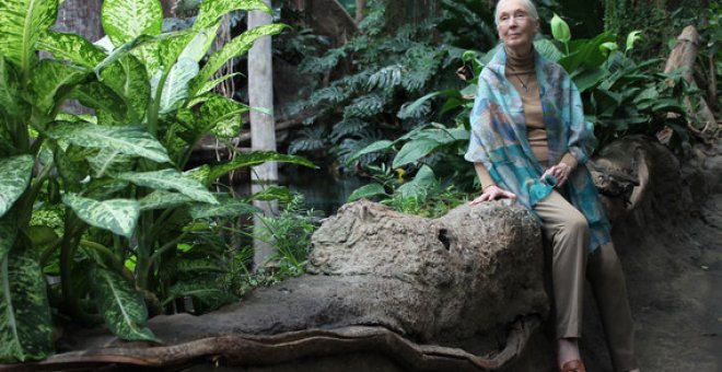 Jane Goodall en barcelona. / Núria Jar, SINC