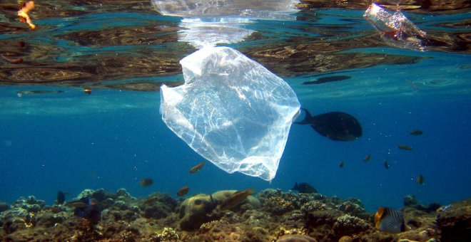 Fotografía de archivo de una bolsa de plástico en el mar | EFE