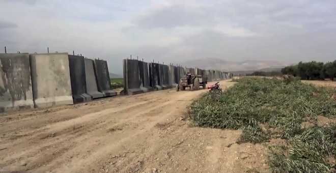 Olivos de Afrin, situados junto al muro de hormigón levantado por los turcos en los límites fronterizos con la zona kurdosiria de Rojava.