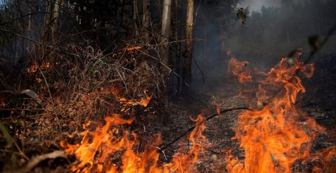 Imágenes de uno de los incendios de Cantabria durante el mes de febrero./EFE