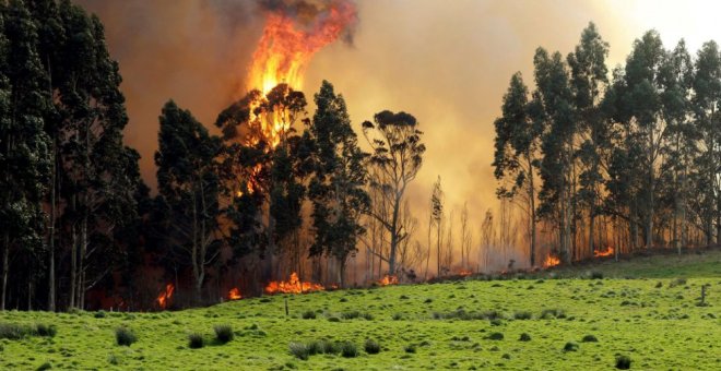 Vista del incendio en las proximidades de Naves (Llanes). / EFE