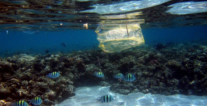 Peces y bolsas de plástico comparten espacio | EFE/ Mike Nelson