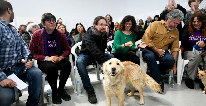 El candidato de Unidas Podemos a la presidencia del Gobierno, Pablo Iglesias, en un acto contra el maltrato animal, en Madrid, con su perra Leona. DANI GAGO/PODEMOS