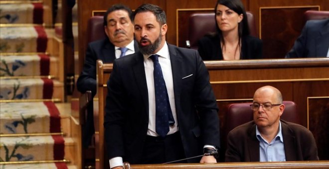 Santiago Abascal, en el Congreso. - EFE