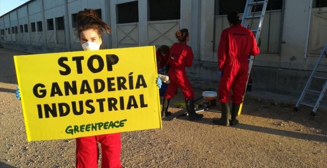 Activistas de Greenpeace en la granja del grupo Cefusa en Hellín (Albacete). / GREENPEACE