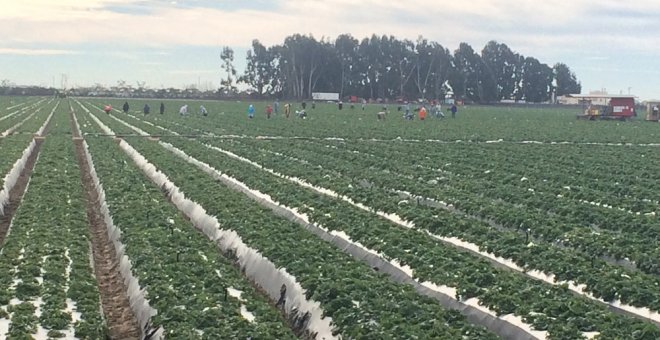 Campesinos labrando la tierra en el condado de Ventura