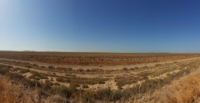 Terreno sobre el que se construirá macroproyecto,situado junto al río Guadalquivir y frente a Doñana | Ecologistas en Acción