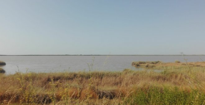 Terreno sobre el que se construirá macroproyecto,situado junto al río Guadalquivir y frente a Doñana | Ecologistas en Acción