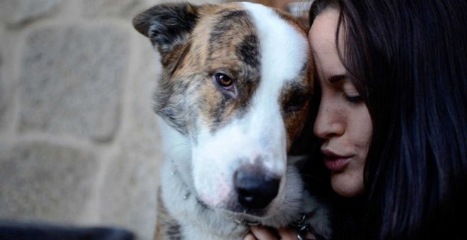 Una niña juega con su perro.- EFE