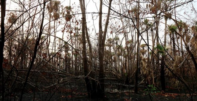 El Pantanal paraguayo, en las inmediaciones del centro biológico de Tres Gigantes, afectado por los incendios. / EFE