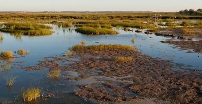 Imagen del humedal de La Albufera de Valencia./ Europa Press