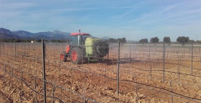 Los ‘agricultores de sofá’ ya duplican a los que sí trabajan la tierra. / Europa Press