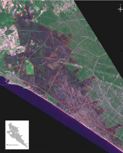 Imagen cedida por la Consejería de Medio Ambiente de la Junta de Andalucía de la reforestación de Doñana.